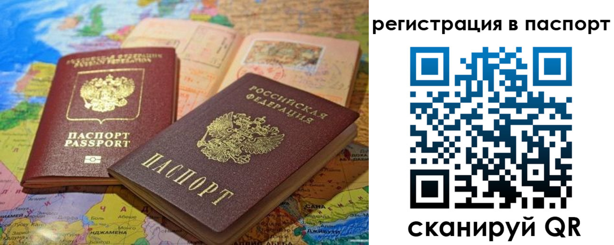временная регистрация гарантия в Находке